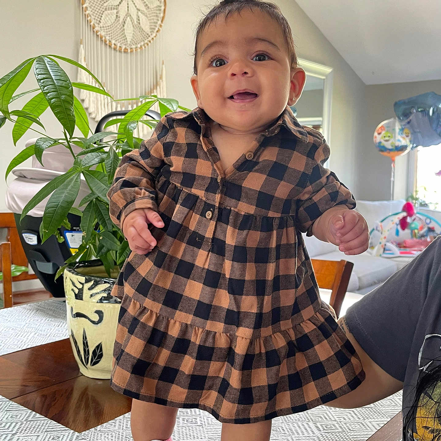 Laila is registered to the contest to win money with this photo: child, clothing, face, female, footwear, girl, head, indoors, interiordesign, jar, person, photography, plant, planter, portrait, pottedplant, pottery, shoe, sneaker, vase
