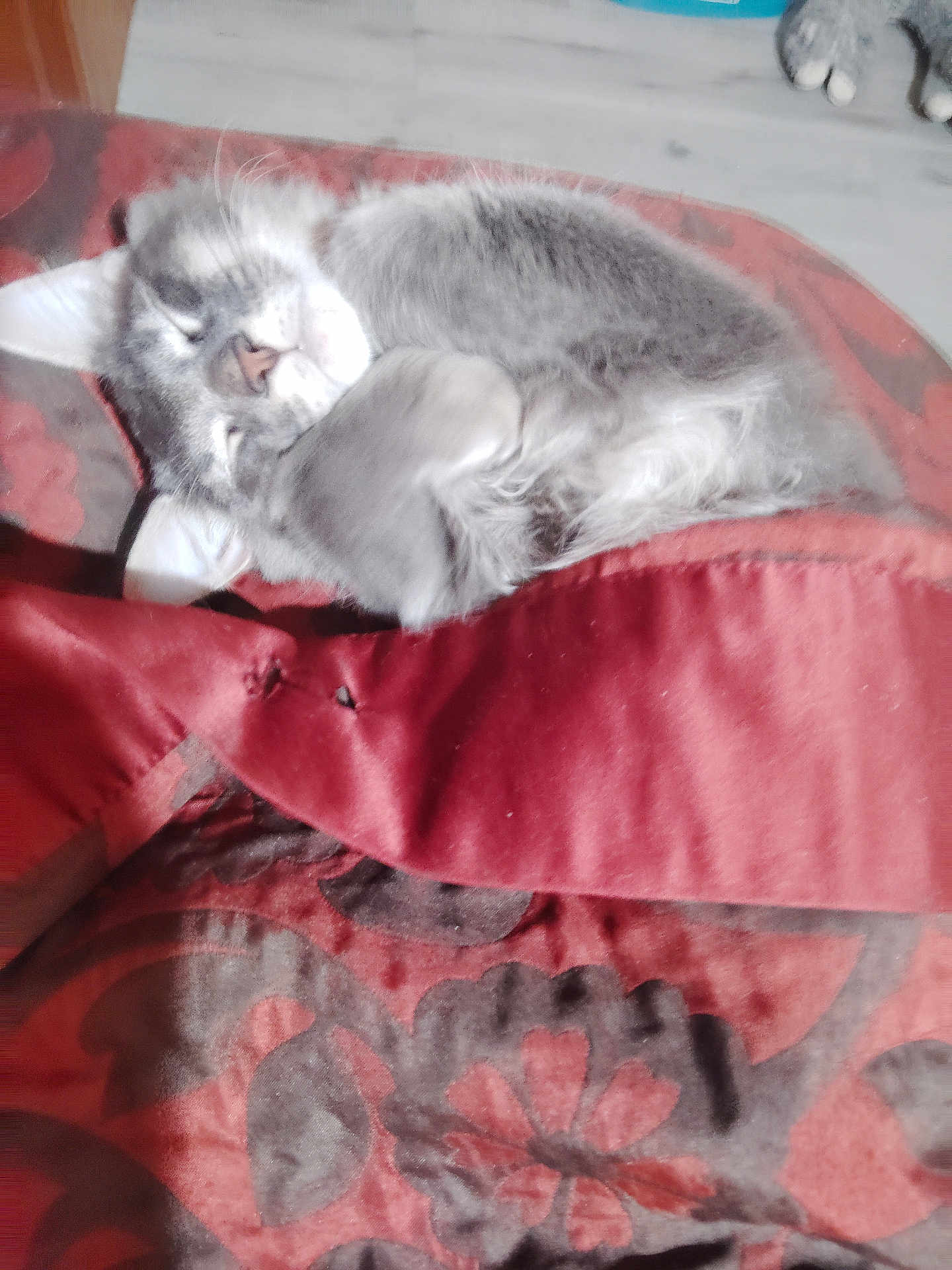 Smokey
