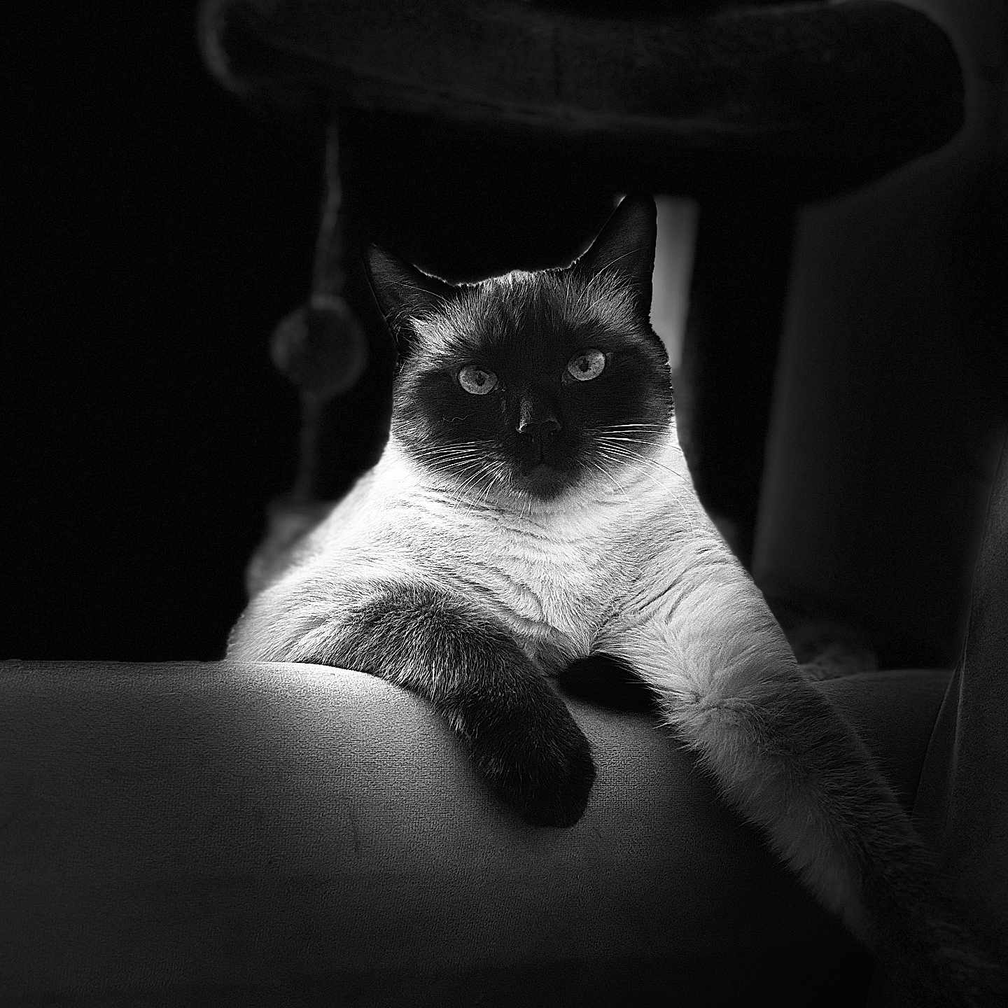 Aiko