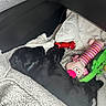Titou Burton a rejoint le concours — aidez-le/la à gagner de superbes lots ! dog, black_dog, sleeping, blanket, plush_toy, car_seat, stuffed_animal, toy, cozy, nap, pet, animal, indoor, resting, comfort, furry, cute, soft, striped_toy, green_toy