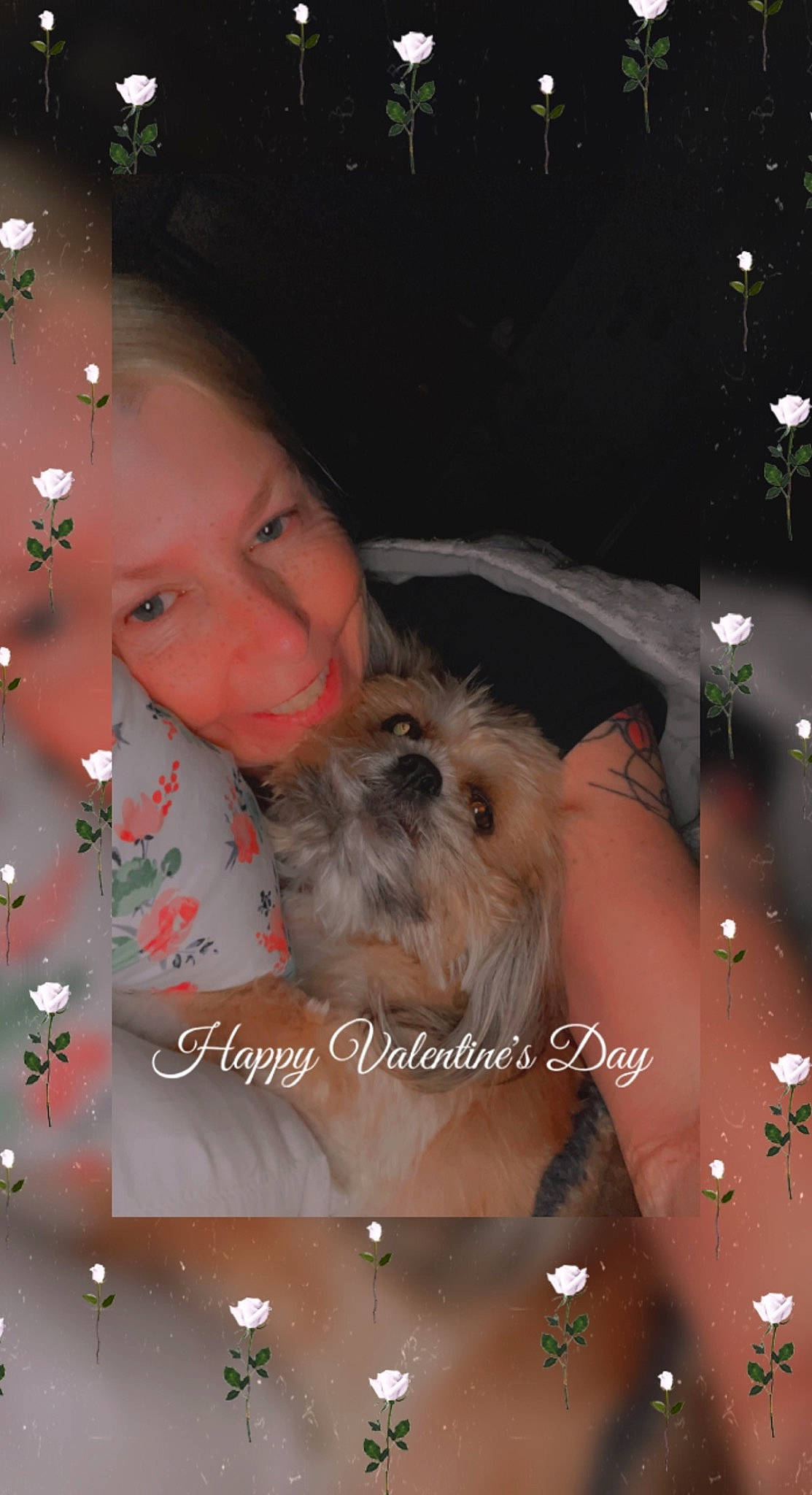 Sugar joined the competition — help win amazing prizes! brown_hair, carnivore, companion_dog, dog, dog_breed, event, fawn, font, fun, fur, happy, holiday, liver, pattern, photo_caption, portrait_photography, small_terrier, terrier, toy_dog, working_animal