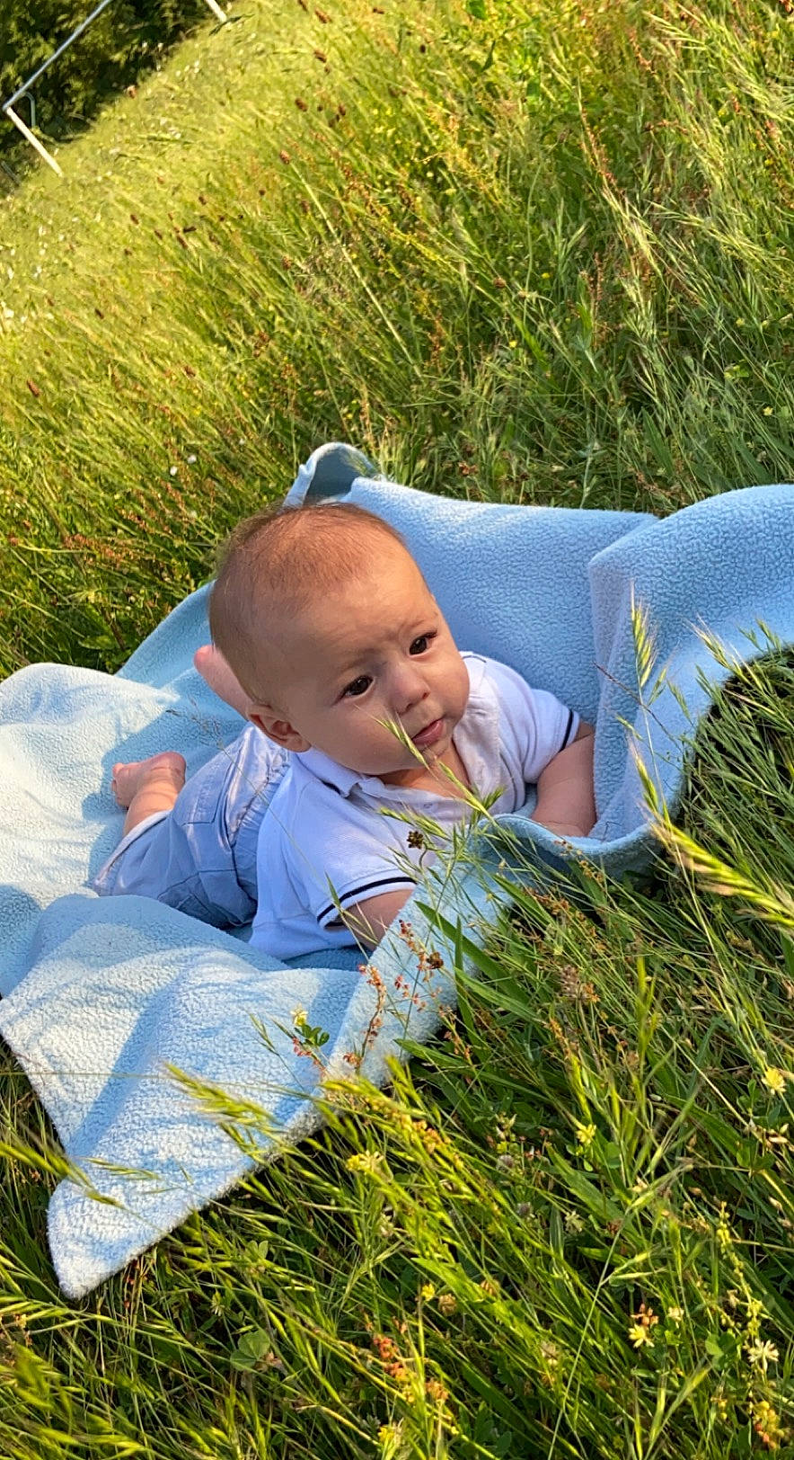 Rafaël participe au concours pour gagner de l'argent avec cette photo : azure, baby, baby_toddler_clothing, child, electric_blue, fun, grass, grassland, groundcover, happy, landscape, lawn, leisure, meadow, people_in_nature, person, plant, prairie, sitting, toddler