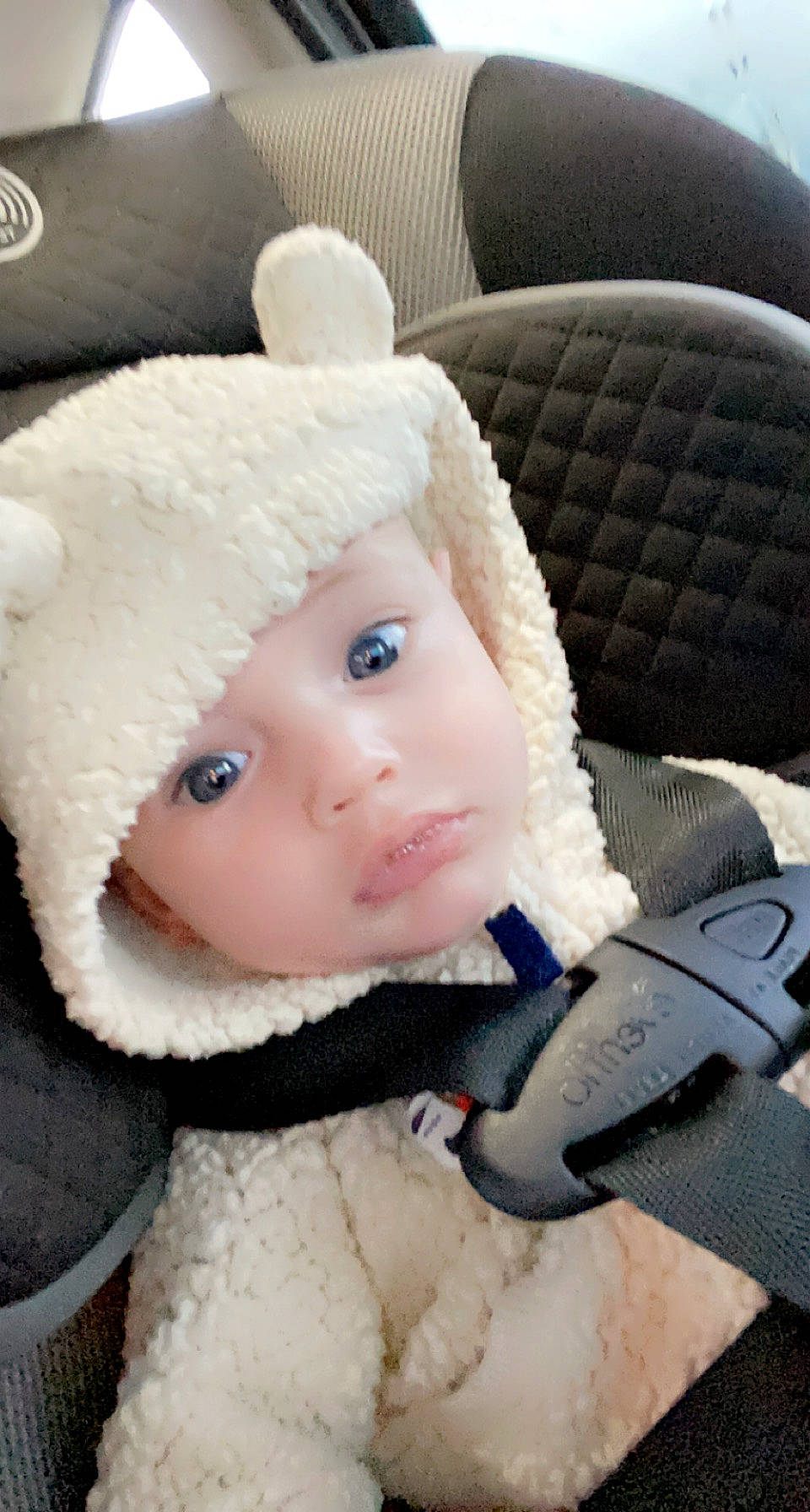 Dustin is registered to the contest to win money with this photo: baby, baby_toddler_clothing, cap, cheek, child, doll, face, fur, fur_clothing, headgear, headwear, knit_cap, person, plush, stuffed_toy, textile, toddler, toy, white, winter