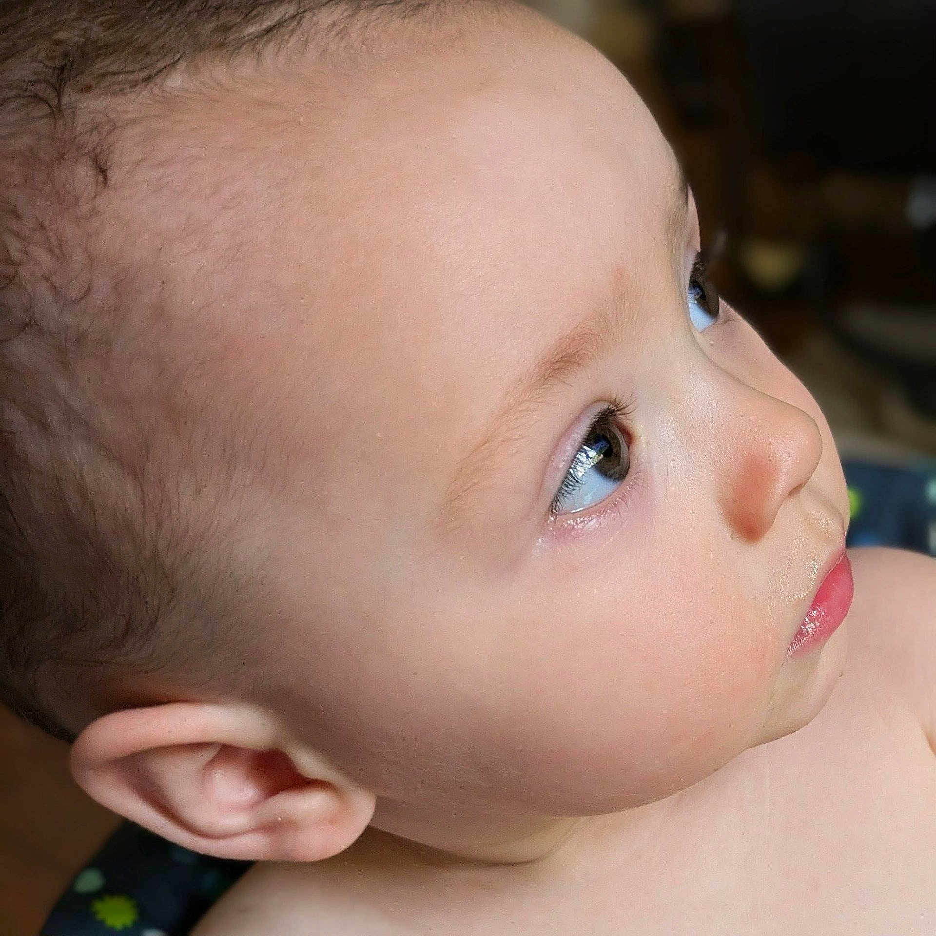 Harold is registered to the contest to win money with this photo: baby, child, face, profile, skin, ear, eye, curious, innocence, closeup, portrait, young, looking_up, soft_skin, head, expression, newborn, person, childhood, indoor