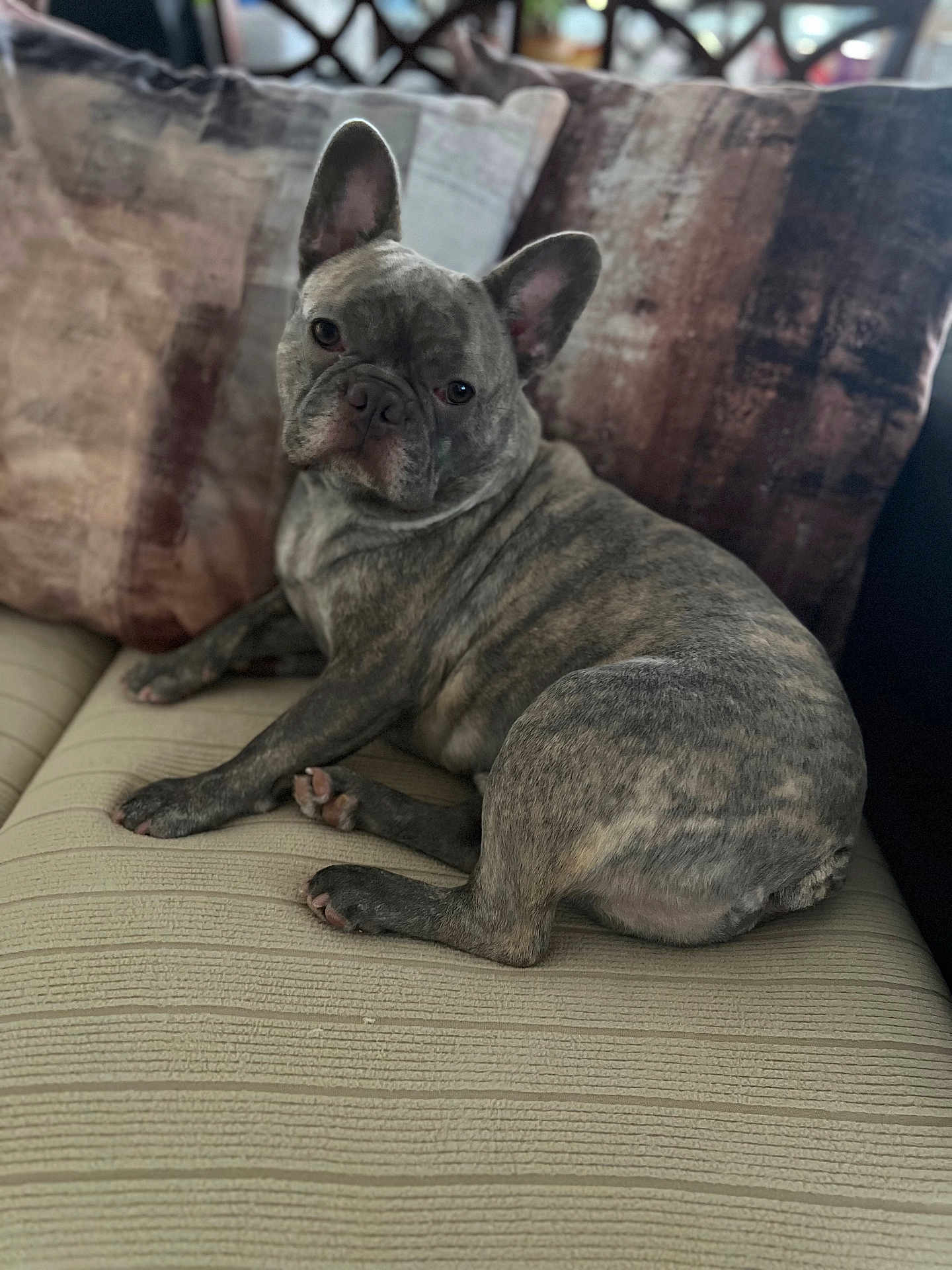 Bruno