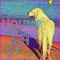 Mouna P.
