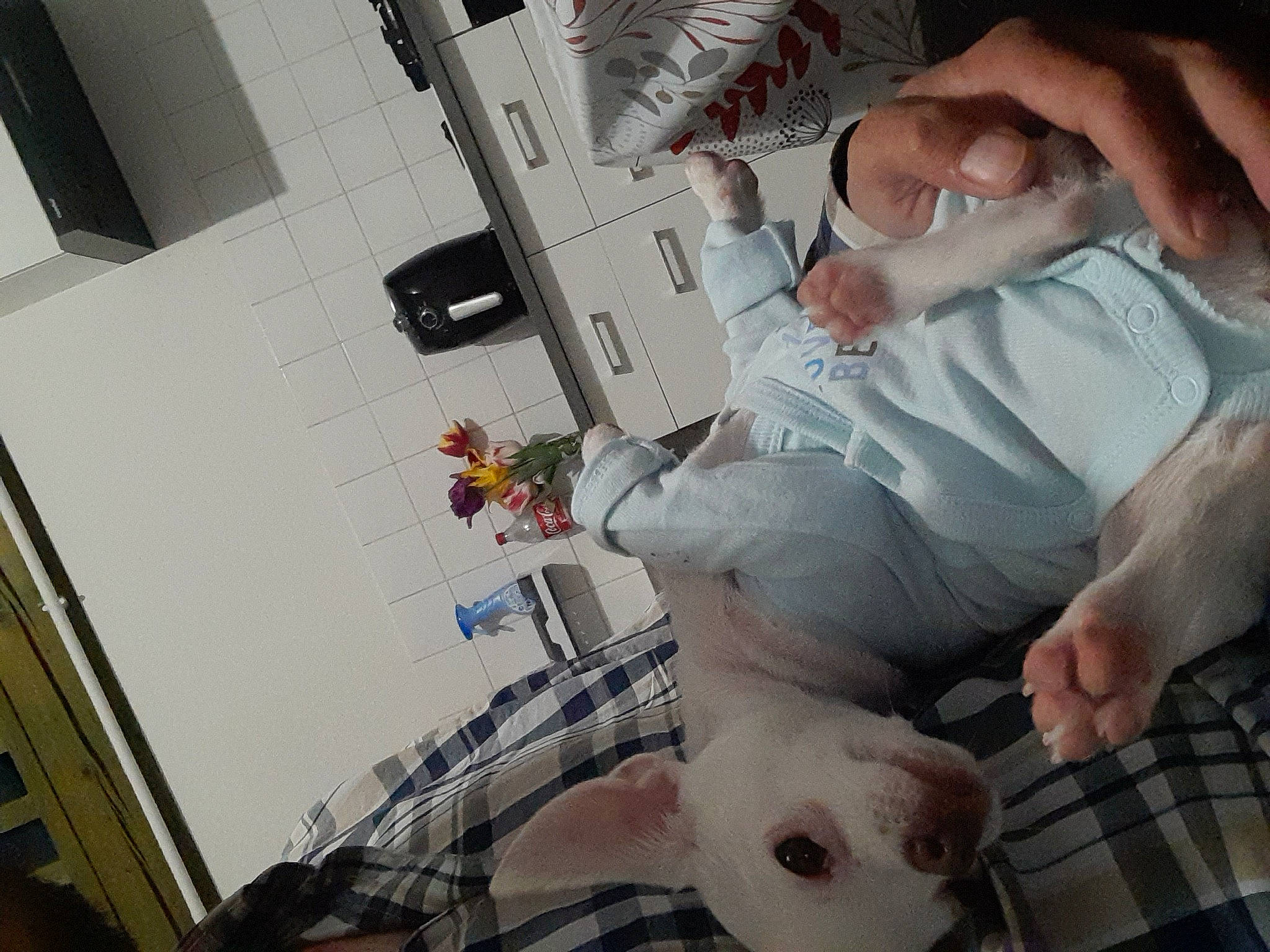 Kouki participe au concours pour gagner de l'argent avec cette photo : abdomen, child, comfort, companion_dog, elbow, flesh, hand, health_care, hospital, human_leg, medical, medical_equipment, medical_procedure, nail, patient, pattern, room, service, thumb, wrist