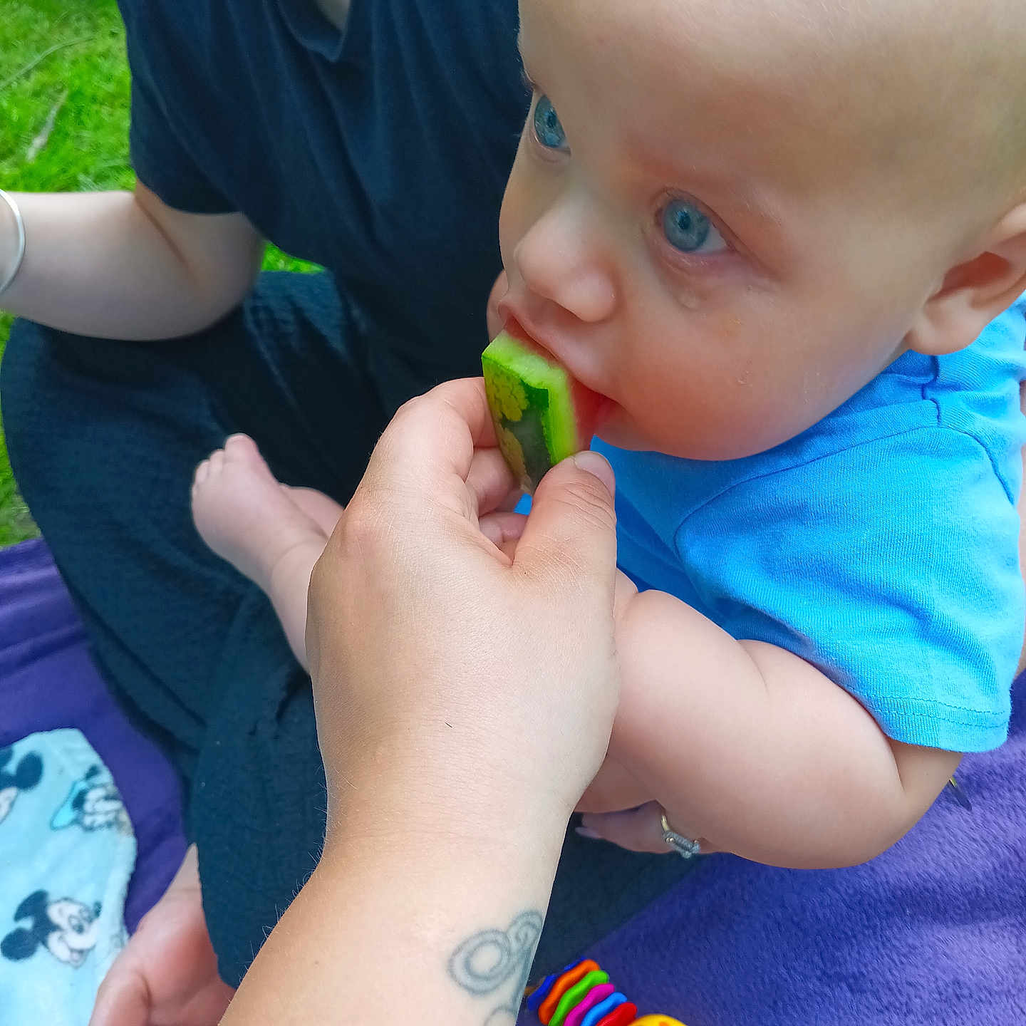 Ayden a rejoint le concours — aidez-le/la à gagner de superbes lots ! baby, blanket, blue_eyes, casual_clothing, child, closeup, cute, feeding, grass, hand, mickey_mouse, outdoor, person, picnic, purple_blanket, sitting, summer, tattoo, toy, watermelon