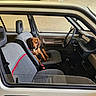 dog, car, car_interior, seat, gray_seat_cover, dog_lying, window, steering_wheel, dashboard, manual_gear_shift, car_door, headrest, pet, animal, brown_dog, vintage_car, relaxed, indoor, transport, vehicle