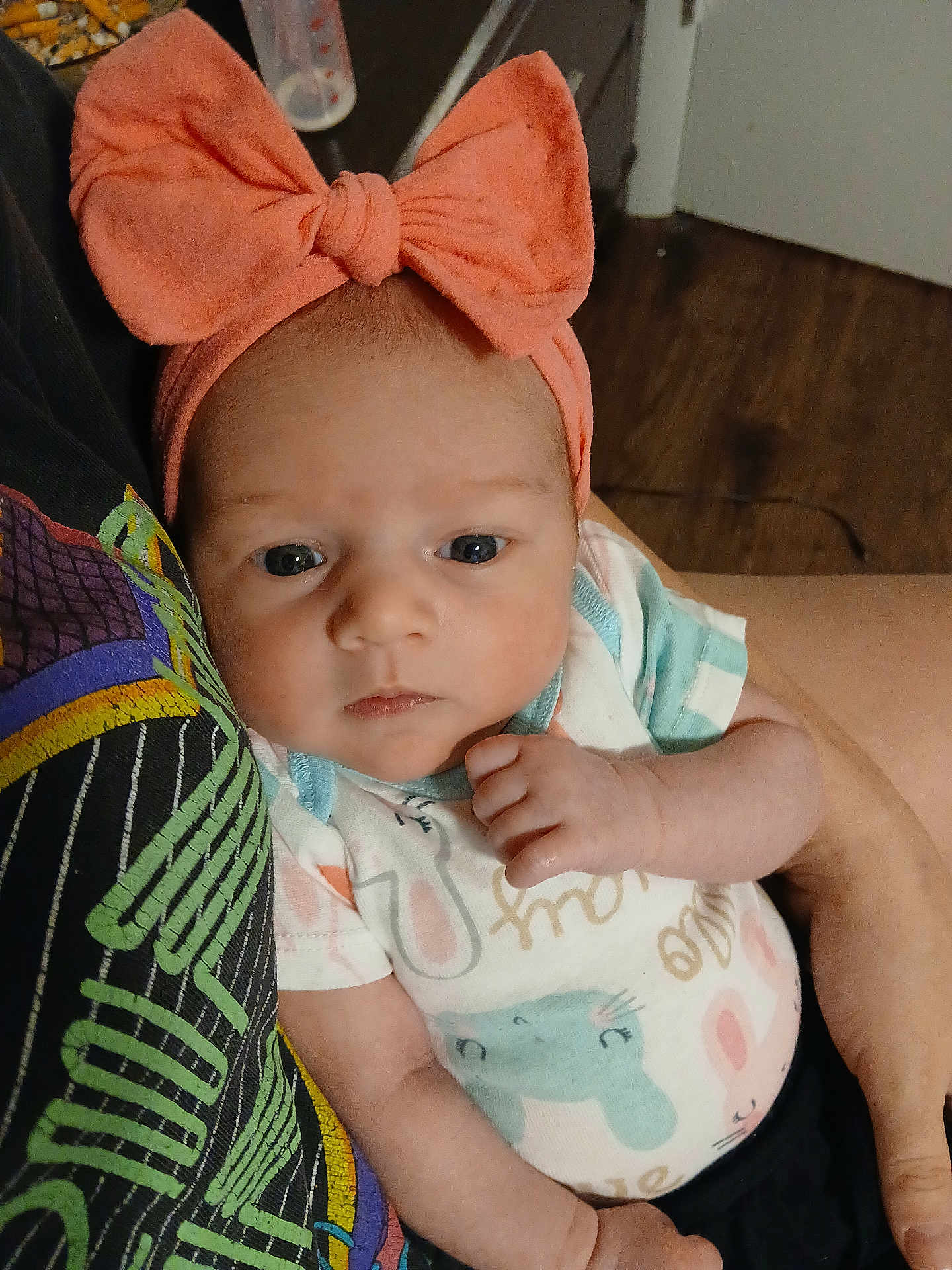 Makenna Layne joined the competition — help win amazing prizes! baby, child, infant, headband, bow, onesie, animal_print, person, holding, arm, indoor, floor, wooden_floor, clothing, cute, portrait, face, looking, closeup, human