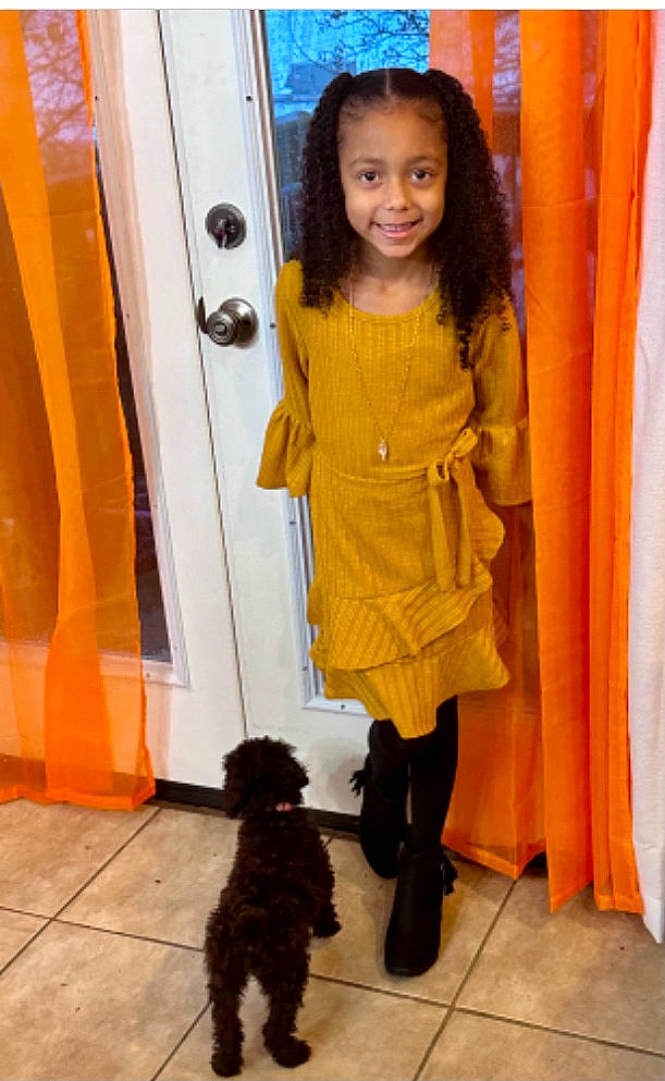 Estella is registered to the contest to win money with this photo: black, carnivore, companion_dog, dog, dog_breed, door, fashion_design, fawn, flooring, fun, fur, happy, joy, orange, person, poodle, sleeve, smile, standing, thigh
