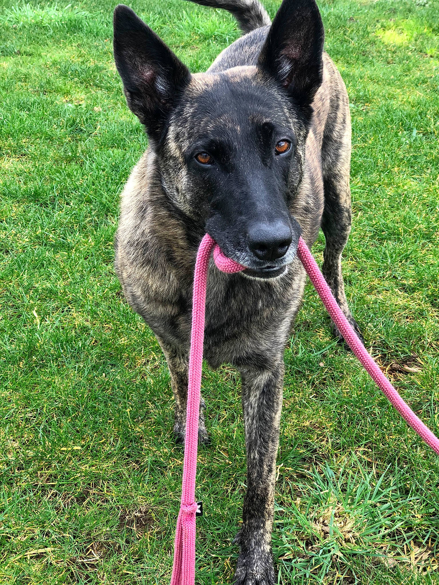 Hera