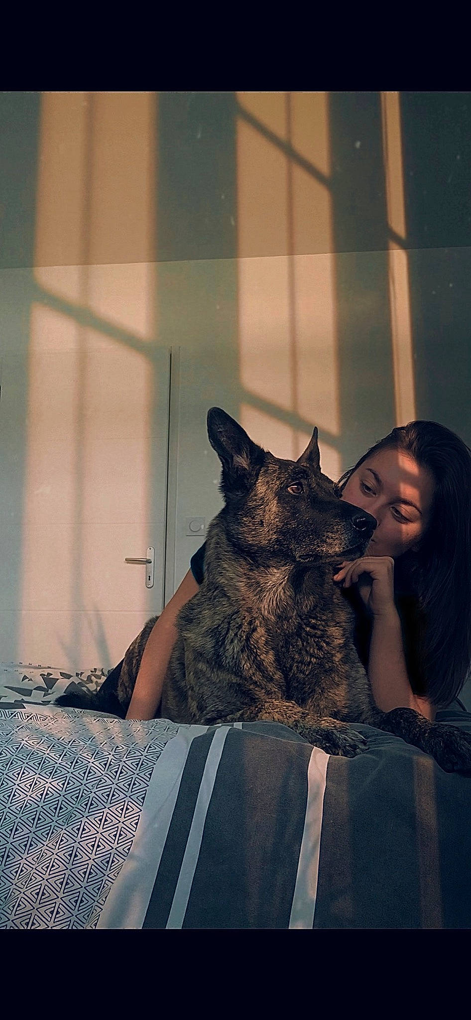 Hera a rejoint le concours — aidez-le/la à gagner de superbes lots ! canidae, carnivore, comfort, companion_dog, dog_breed, domestic_short_haired_cat, dress, eye, facial_hair, fashion_design, fawn, felidae, fur, happy, room, sitting, small_to_medium_sized_cats, snout, sporting_group, whiskers