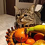 cat, tabby_cat, fruit_basket, banana, orange, basket, tablecloth, bed, indoor, whiskers, fur, close_up, curious, pet, still_life, banana_sticker, citrus, wooden_basket, soft_lighting, portrait