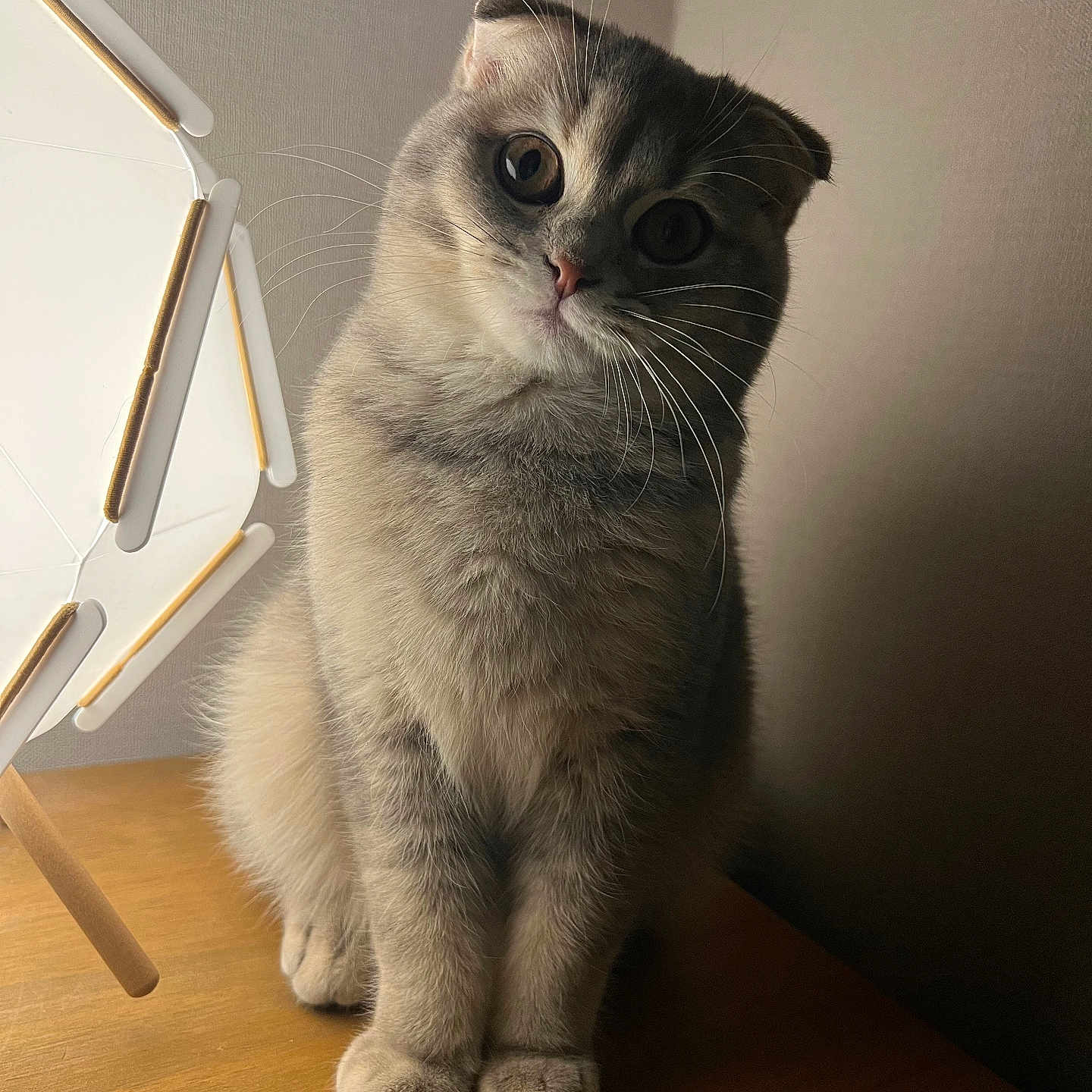Taïna
