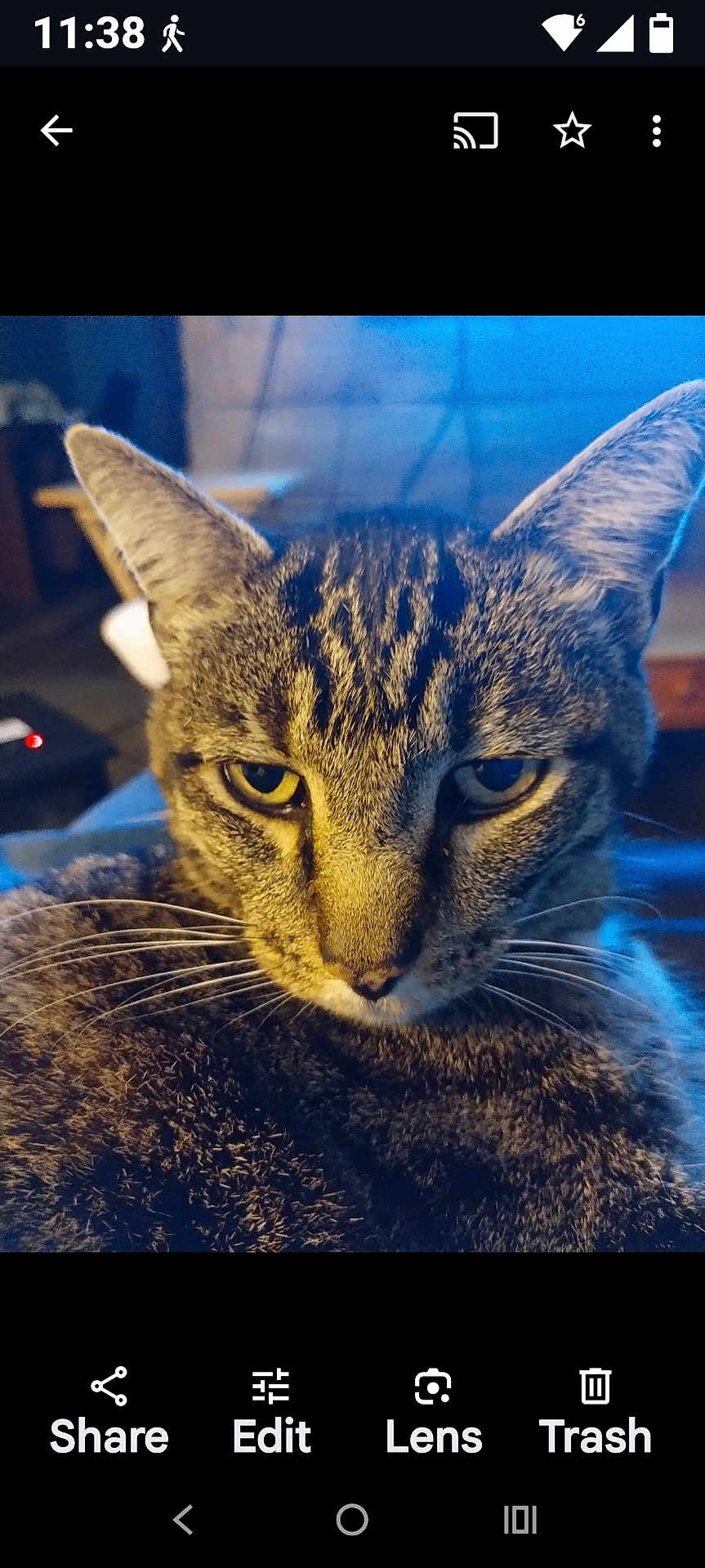 Thomas