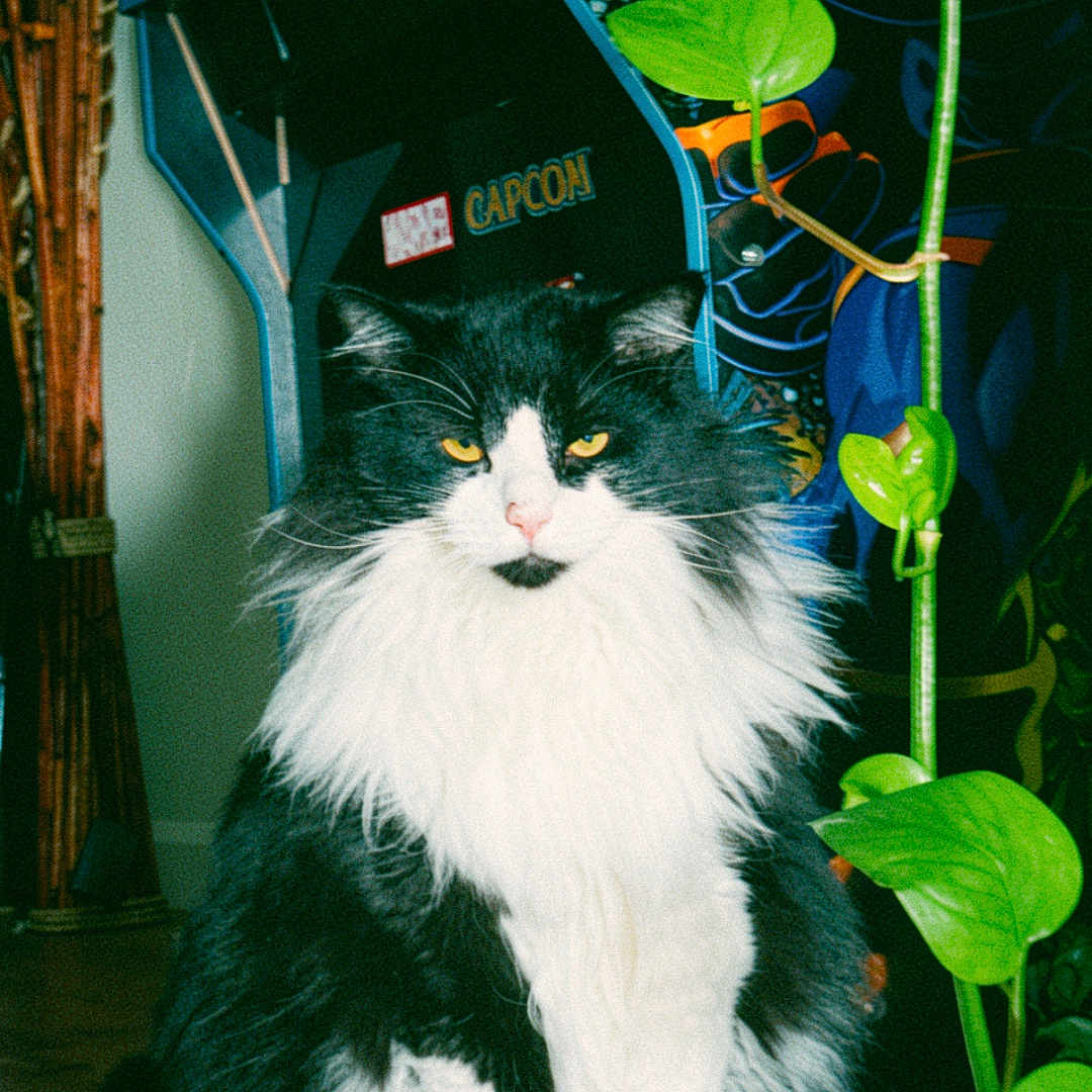 Sebastian