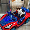 Nico joined the competition — help win amazing prizes! dog, toy_car, indoor, kitchen, floor_tiles, small_dog, pet, vehicle, blue, red, white, brown, fur, seat, steering_wheel, door, cabinet, appliance, curious, animal