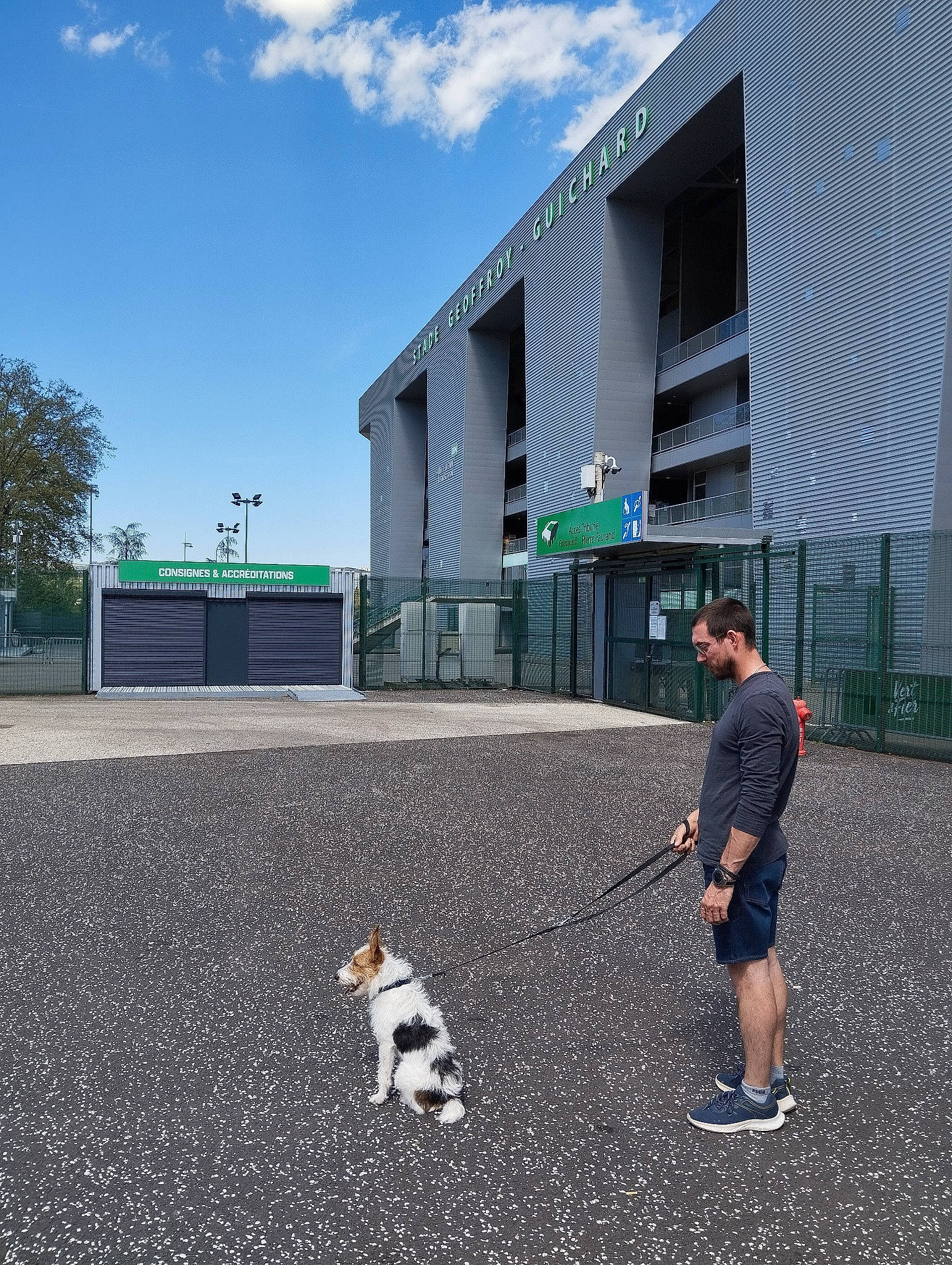 Taïga a rejoint le concours — aidez-le/la à gagner de superbes lots ! asphalt, building, carnivore, city, cloud, companion_dog, dog, facade, flooring, grass, leisure, line, road_surface, roof, sidewalk, sky, sporting_group, tree, urban_design, walking