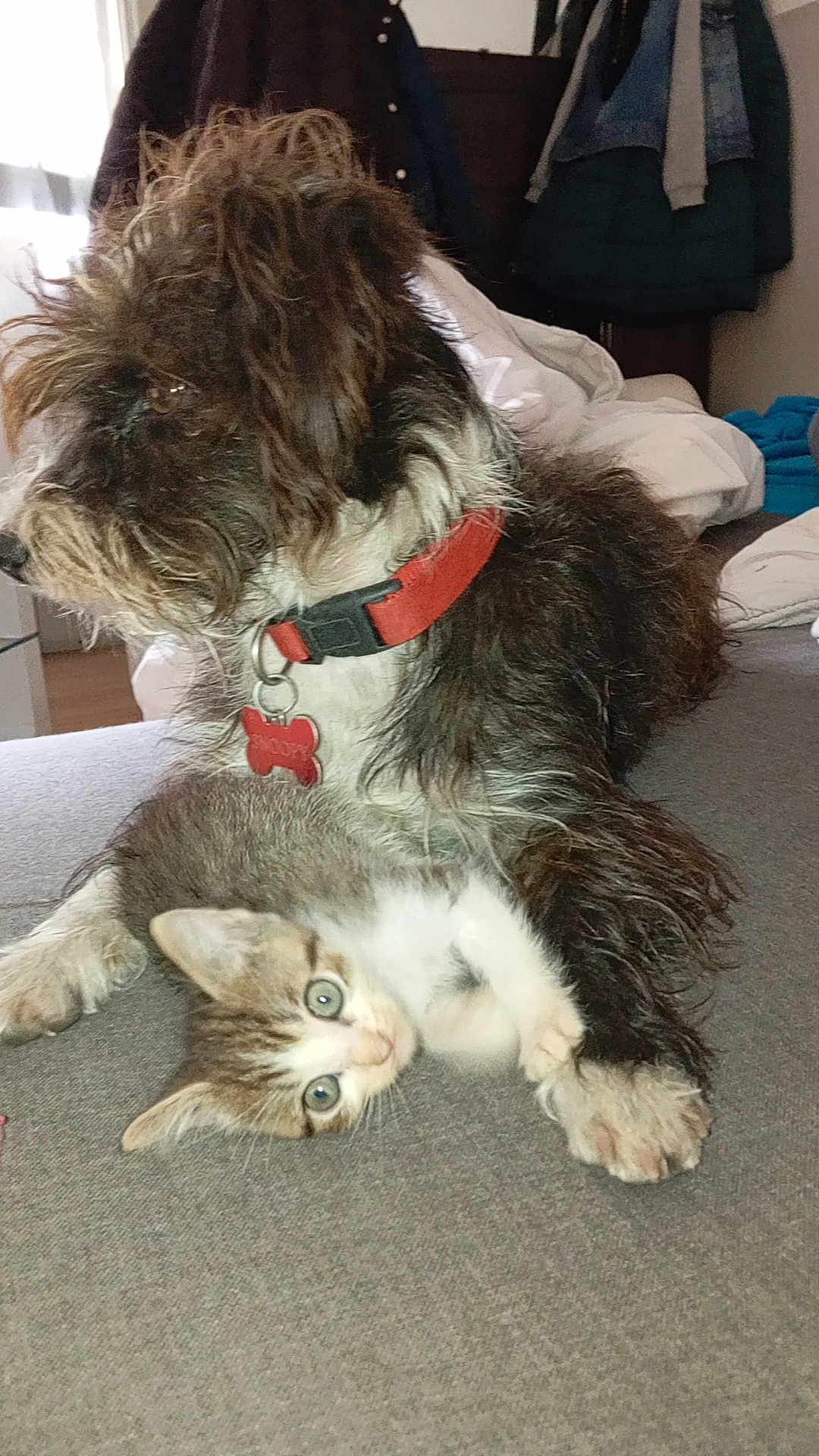 Nala