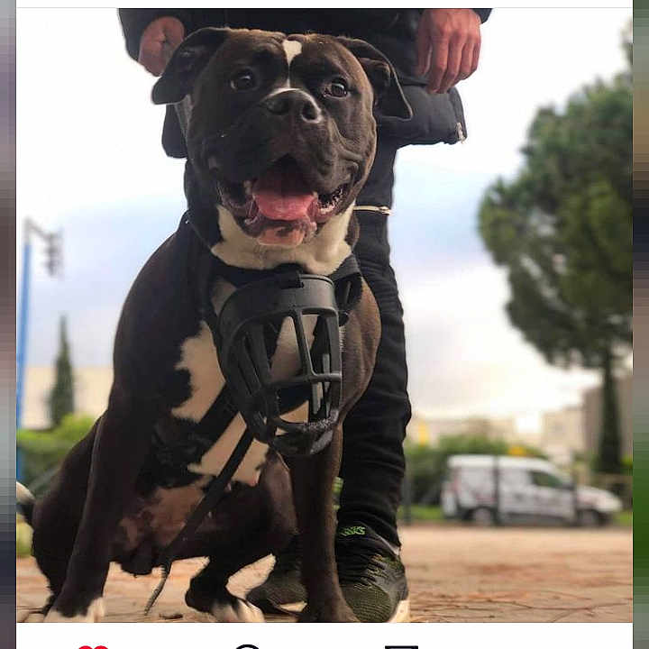 Xena