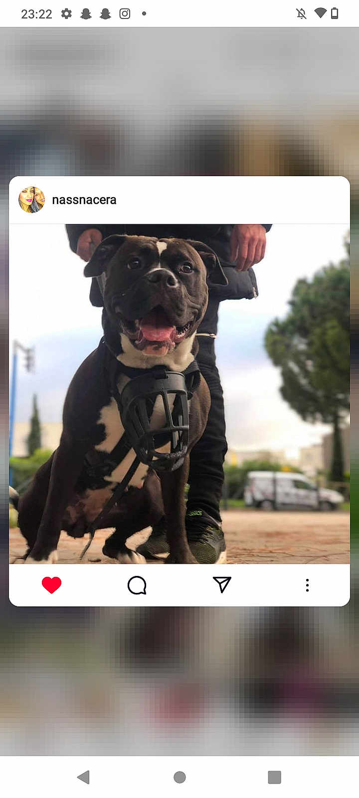 Xena