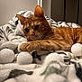 cat, orange_tabby, ginger_cat, pet, feline, blanket, cozy, indoor, whiskers, paw, toys, foam_balls, bed, portrait, closeup, domestic_animal, soft_texture, lounging, playful, sleepy_eyes