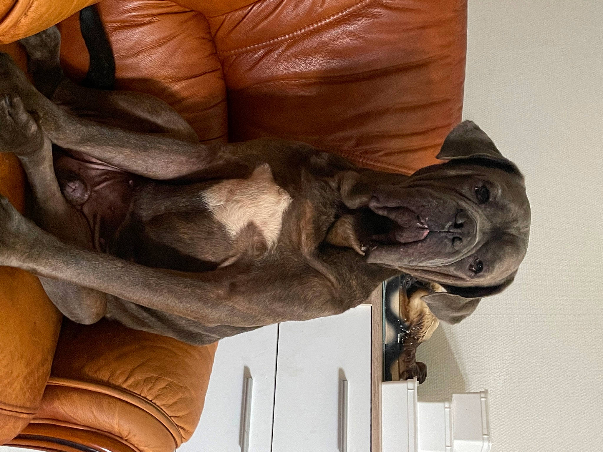 Oxy a rejoint le concours — aidez-le/la à gagner de superbes lots ! art, artifact, carving, classical_sculpture, comfort, elbow, foot, head, human_body, human_leg, knee, metal, monument, reptile, sculpture, statue, thigh, tree, visual_arts, wood