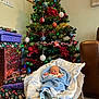baby, sleeping, blanket, baby_rocker, christmas_tree, ornaments, presents, wrapped_gifts, holiday_decor, living_room, carpet, couch, festive_lights, indoors, cozy, infant, peaceful, red, green, blue