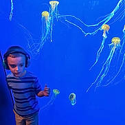 Theodore joined the competition — help win amazing prizes! child, boy, headphones, striped_shirt, shorts, jellyfish, aquarium, blue_background, marine_life, underwater, glowing, tentacles, standing, curious, indoor, exhibit, marine_animals, young, casual_clothing, display