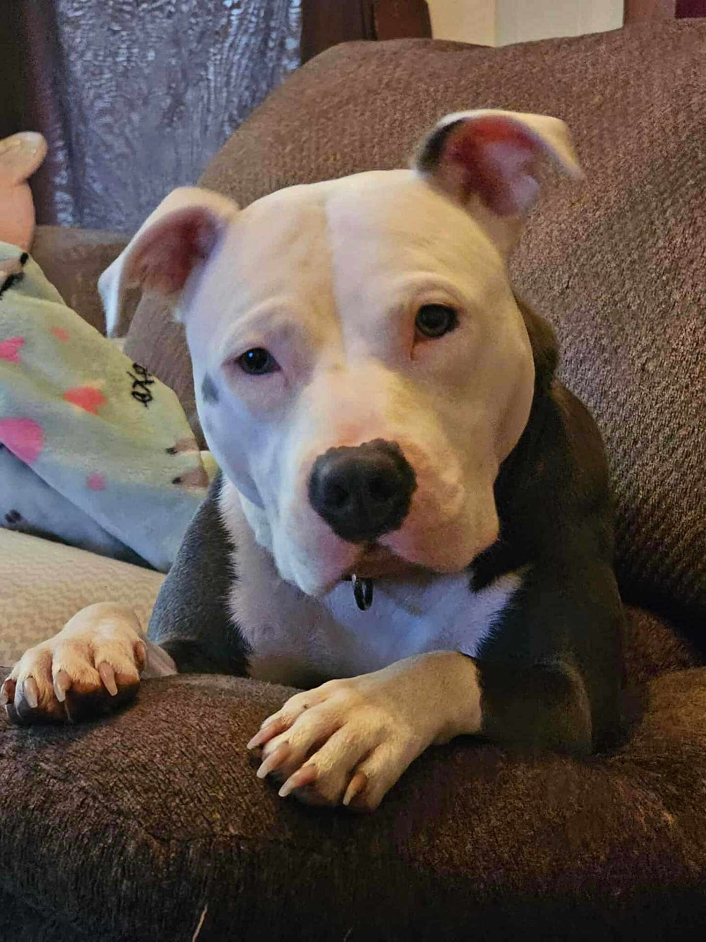 Luna