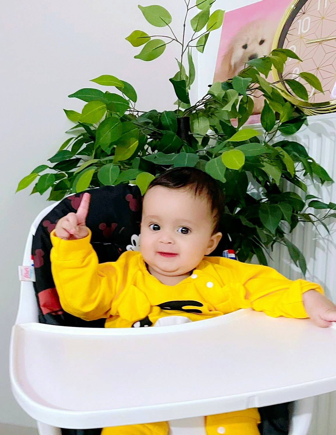 Kimberly Marie participe au concours pour gagner de l'argent avec cette photo : baby, baby_products, baby_toddler_clothing, chair, child, comfort, flowering_plant, fun, grass, happy, herb, leisure, person, petal, plant, product, sitting, sleeve, smile, t_shirt