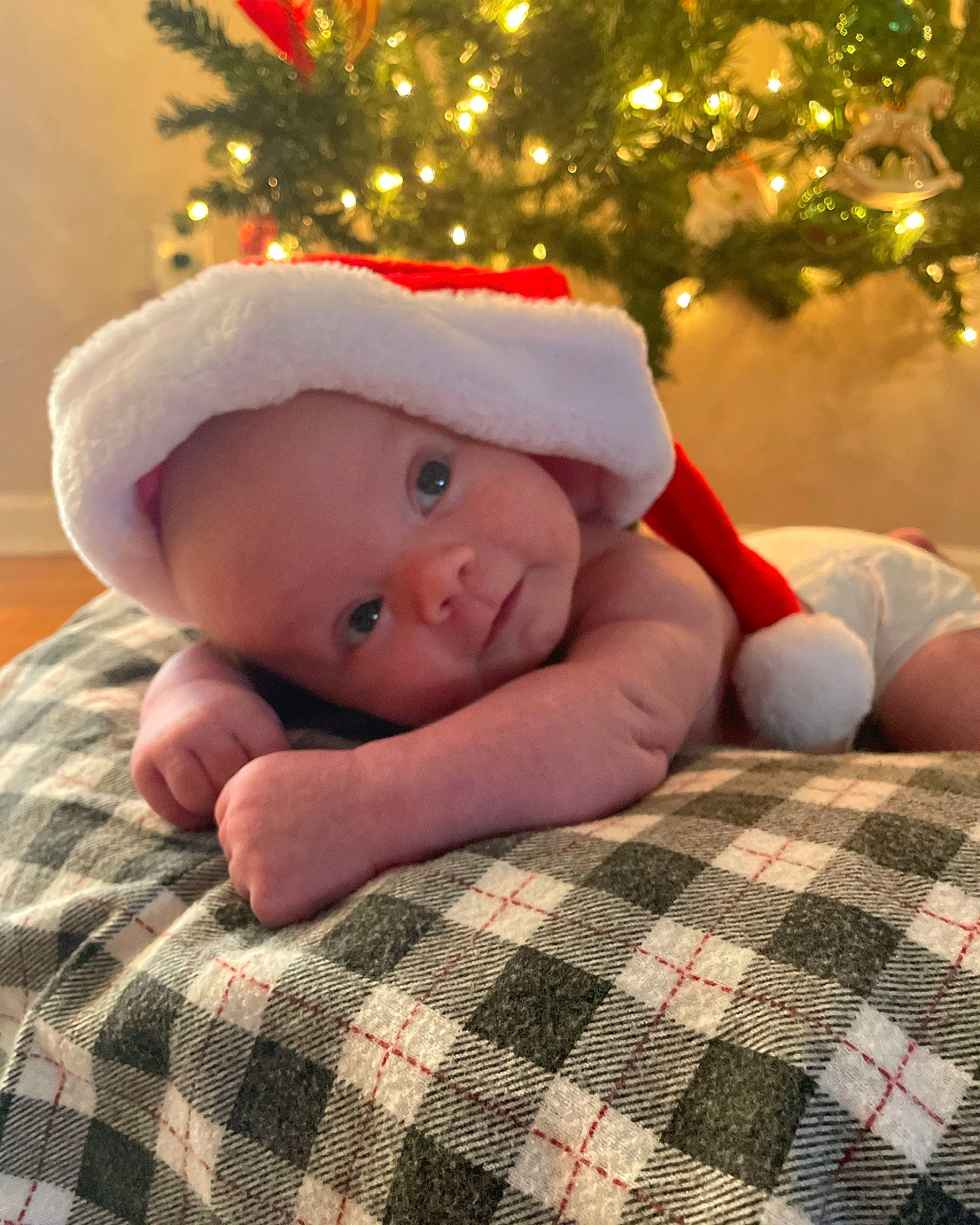 Miles joined the competition — help win amazing prizes! baby, baby_toddler_clothing, child, christmas, christmas_decoration, christmas_ornament, christmas_tree, comfort, event, happy, head, holiday, human_body, ornament, pattern, person, plaid, smile, tartan, toddler