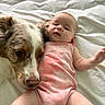 Savannah joined the competition — help win amazing prizes! baby, dog, infant, pet, blanket, laying_down, pink_clothing, closeup, face, fur, cute, animal, child, resting, snuggling, together, soft_texture, indoor, bond, comfort