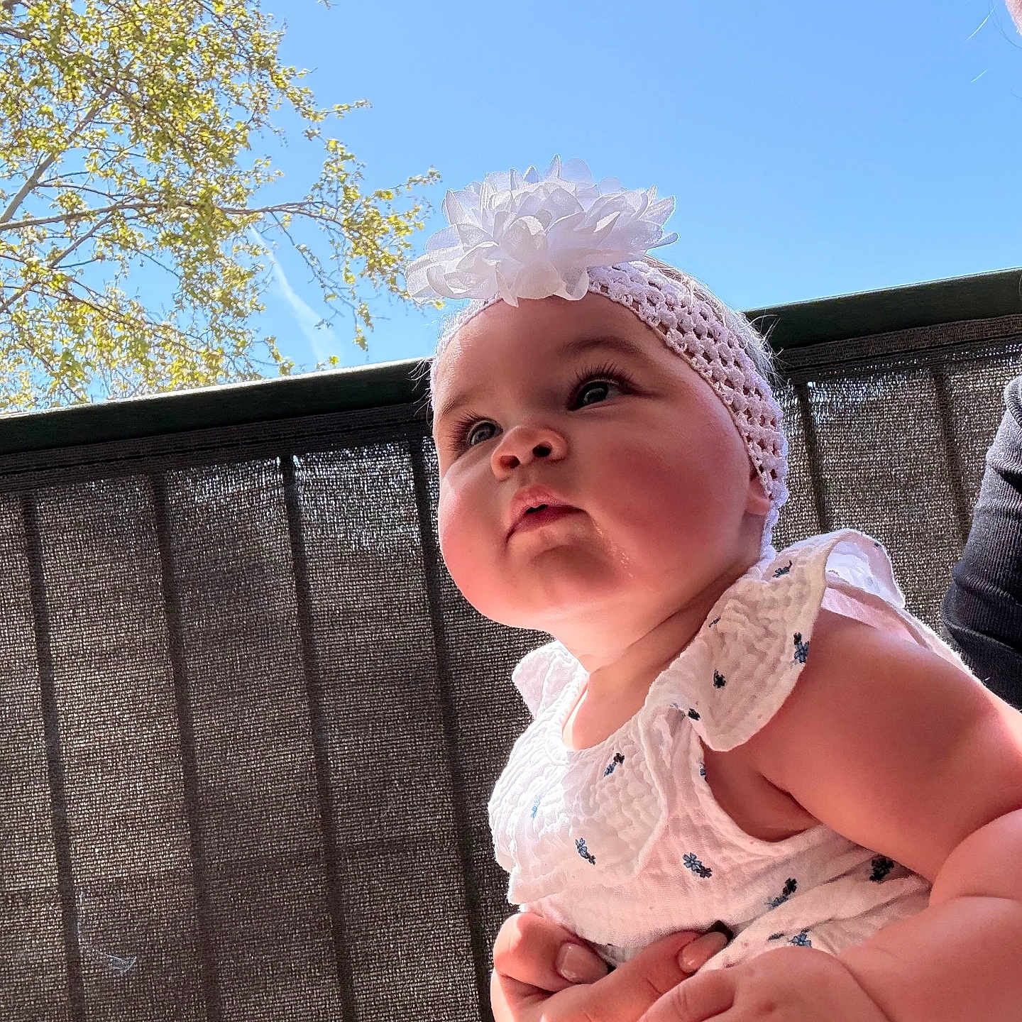 Djayli participe au concours pour gagner de l'argent avec cette photo : baby, child, headband, white_dress, hands, outdoor, sky, tree, leaf, sunlight, cute, portrait, person, young_child, infant, summer, daylight, expression, holding, nature