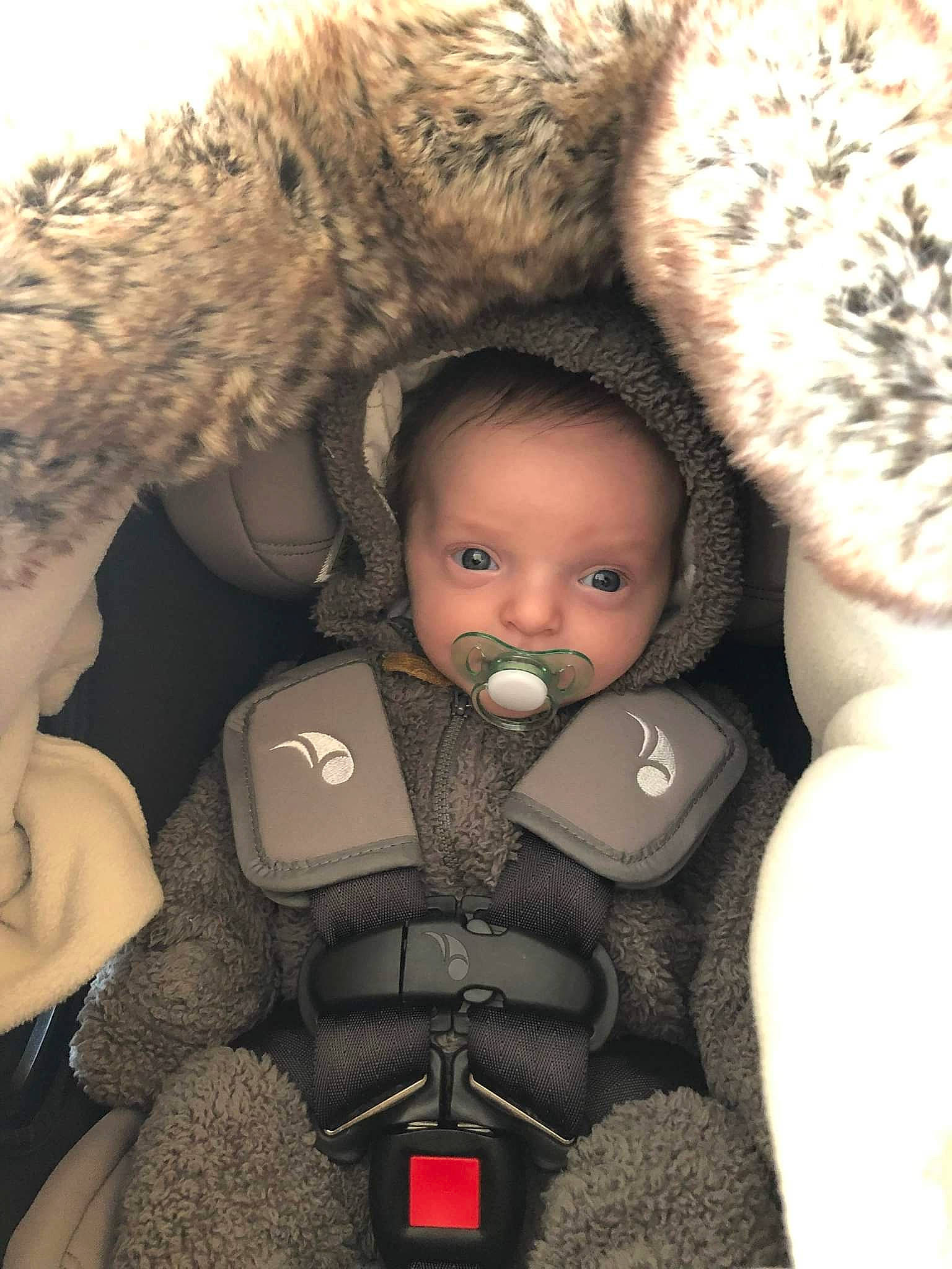 Félix a rejoint le concours — aidez-le/la à gagner de superbes lots ! baby, baby_toddler_clothing, cap, child, comfort, eye, eyelash, face, facial_expression, fur, fur_clothing, gesture, human, nose, outerwear, person, skin, stuffed_toy, toddler, toy