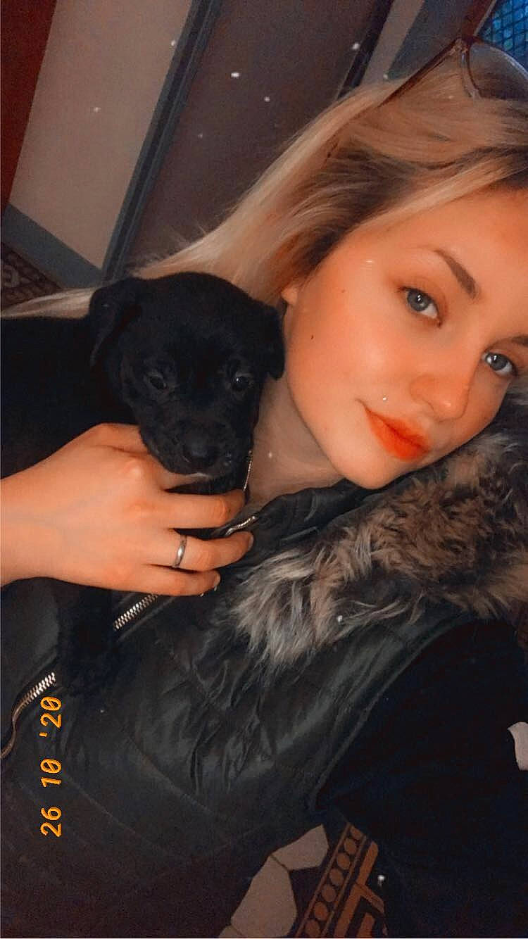 Bouboule a rejoint le concours — aidez-le/la à gagner de superbes lots ! black, black_hair, blond, canidae, carnivore, companion_dog, dog, dog_breed, eye_liner, eyelash, fur, fur_clothing, human, interaction, iris, love, mammal, puppy, sporting_group, working_animal