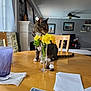 cat, tabby_cat, flowers, vase, dining_table, playing_cards, glass, salt_shaker, pepper_shaker, papers, chair, living_room, ceiling_fan, window, curtains, picture_frame, carpet, furniture, domestic, indoor