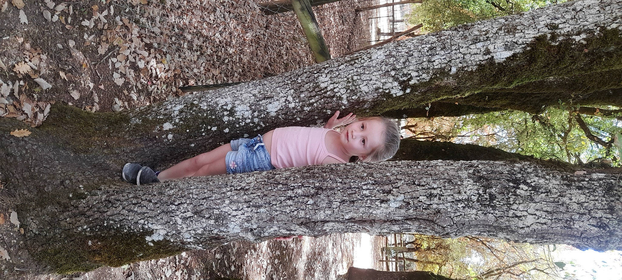 Elouane a rejoint le concours — aidez-le/la à gagner de superbes lots ! beauty, botany, eye, forest, fun, grass, happy, leaf, leisure, mammal, nature, people_in_nature, person, plant, smile, toddler, tree, trunk, twig, wood