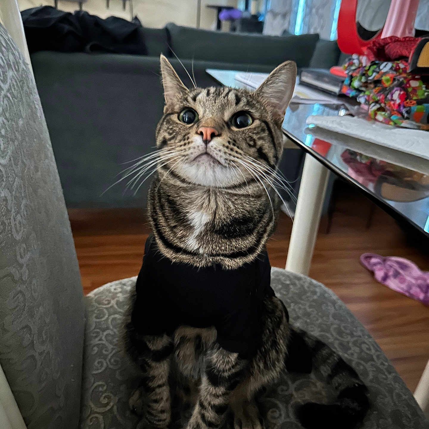 Teo
