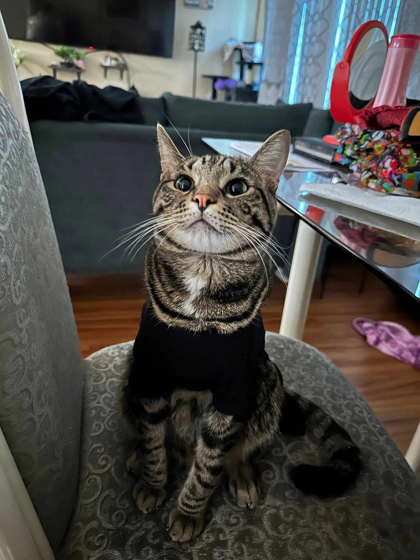 Teo