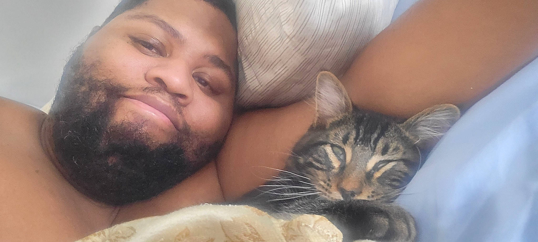 Bobby is registered to the contest to win money with this photo: carnivore, cat, comfort, ear, eye, facial_expression, felidae, hair, hand, happy, head, iris, leg, mouth, muscle, nose, organ, skin, small_to_medium_sized_cats, smile