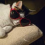 Allie joined the competition — help win amazing prizes! cat, sunglasses, heart_shaped, white_fur, black_fur, resting, indoor, cute, pet, close_up, feline, relaxed, accessory, fashion, animal, sleeping, cushion, texture, domestic_animal, whiskers