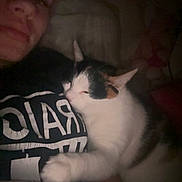 Allie joined the competition — help win amazing prizes! animal, calico_cat, cat, closeup, comfort, cozy, cuddling, dark, face, human, indoor, nighttime, person, pet, pillow, relaxed, resting, sleeping, snuggling, soft