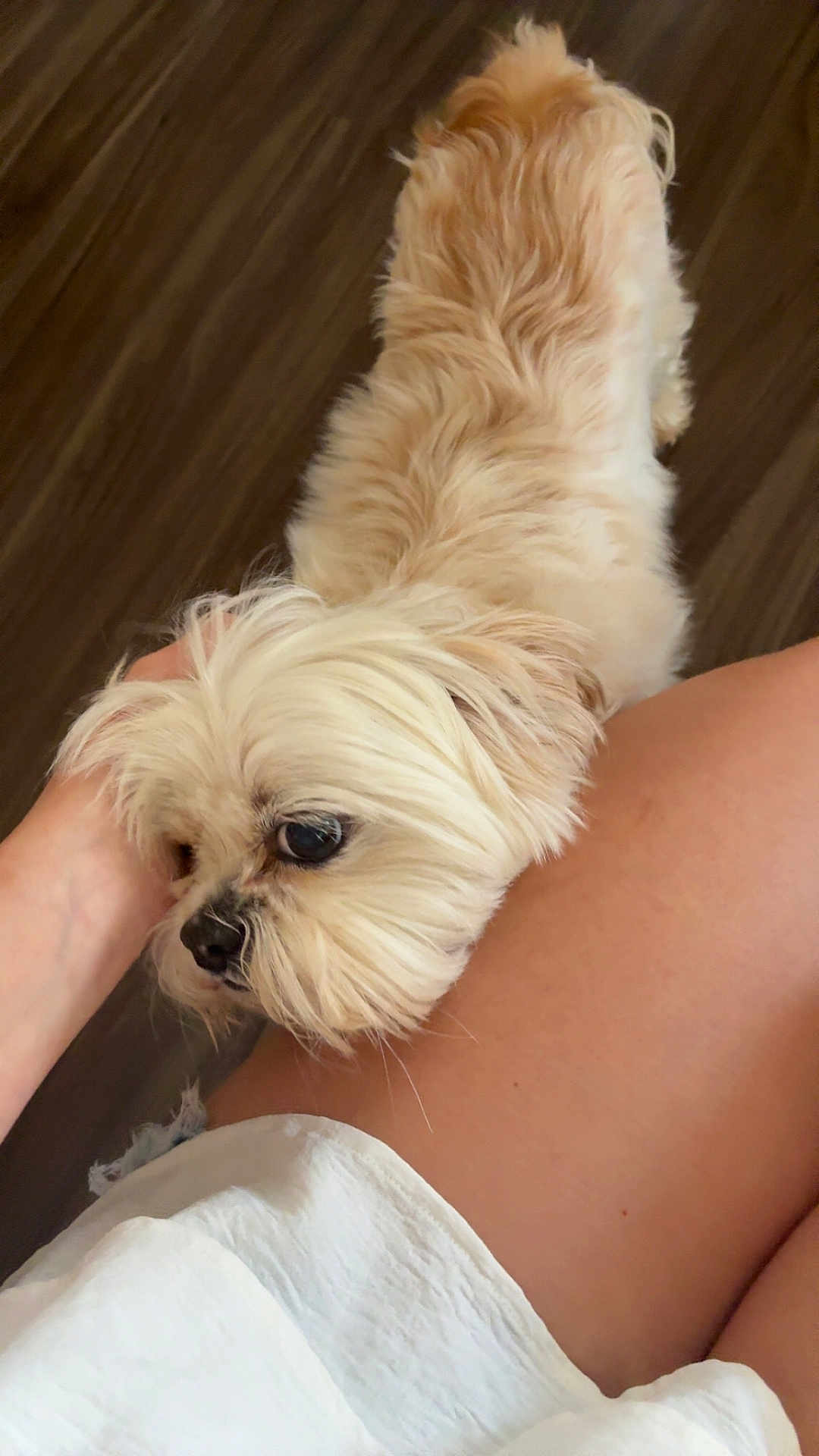 Annie