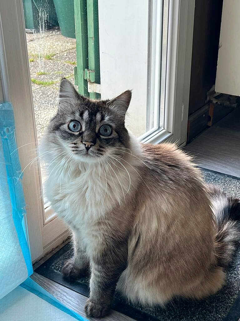 Max
