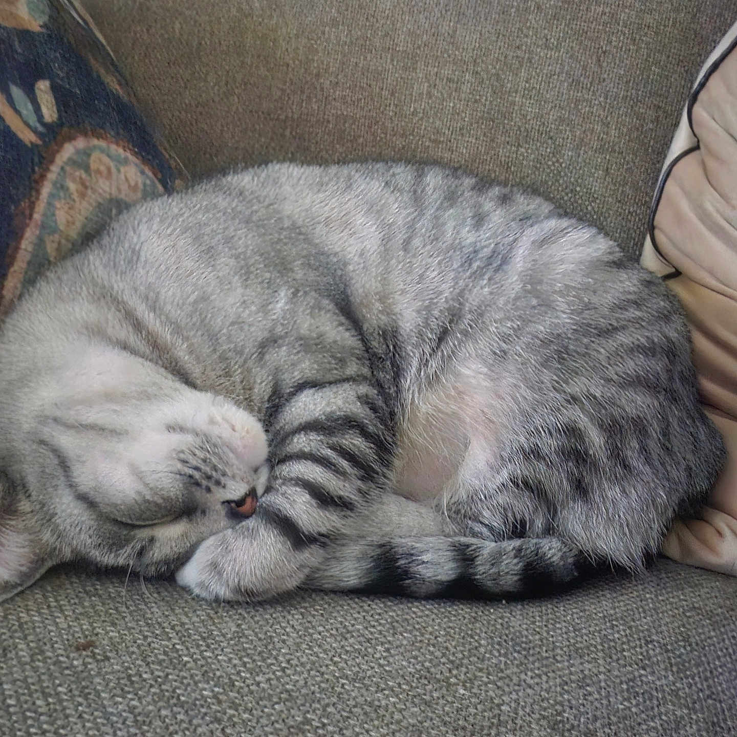 Libby
