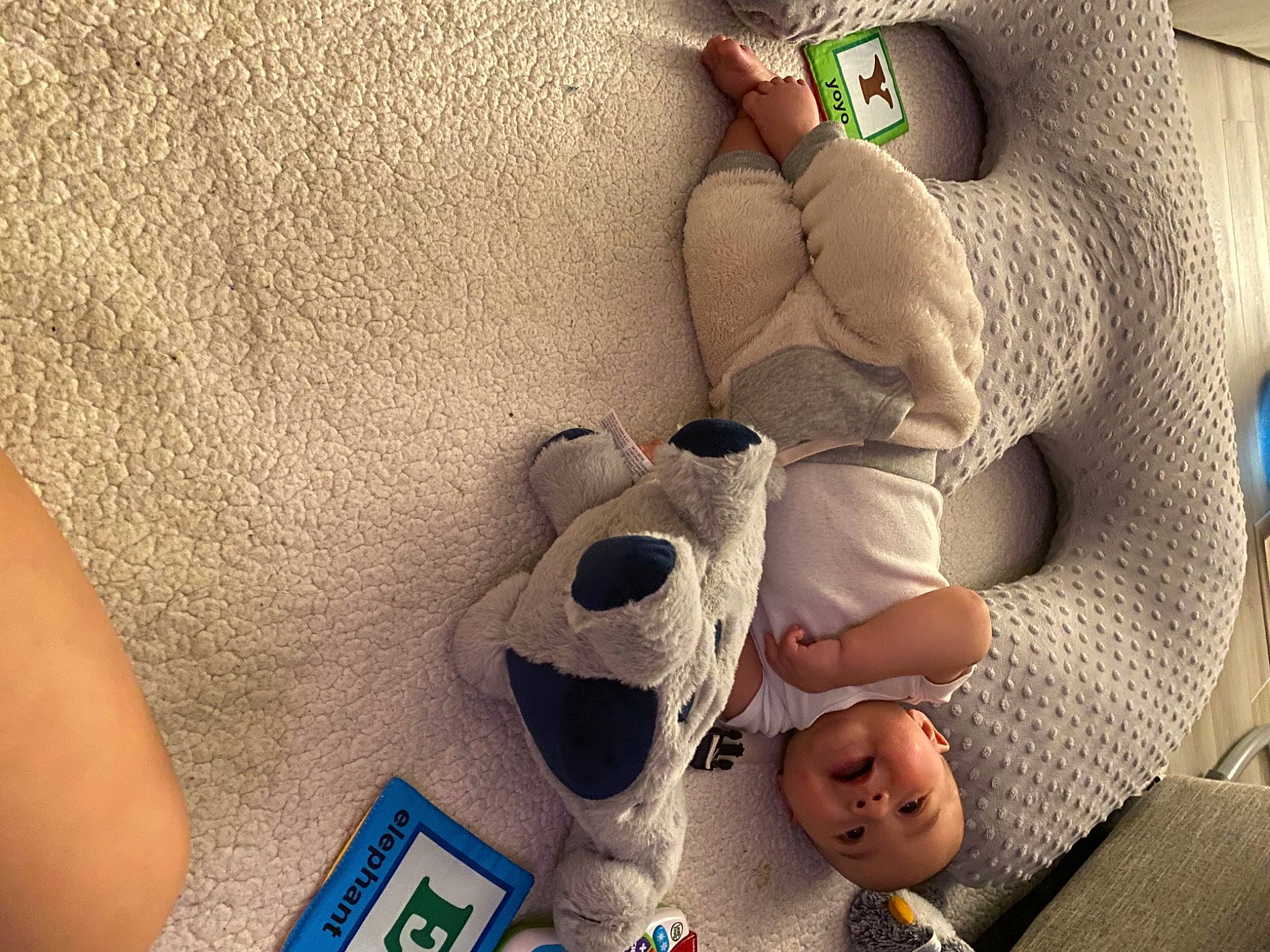 Nolan is registered to the contest to win money with this photo: art, carmine, chest, comfort, finger, foot, fun, human_leg, joint, linens, mouth, nail, person, plush, room, stuffed_toy, textile, thigh, toy, visual_arts