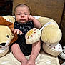Archer joined the competition — help win amazing prizes! baby, infant, plush_toy, lion, cushion, seat, black_onesie, face, hand, feet, indoor, soft_toys, comfort, child, person, portrait, expression, furniture, cute, resting