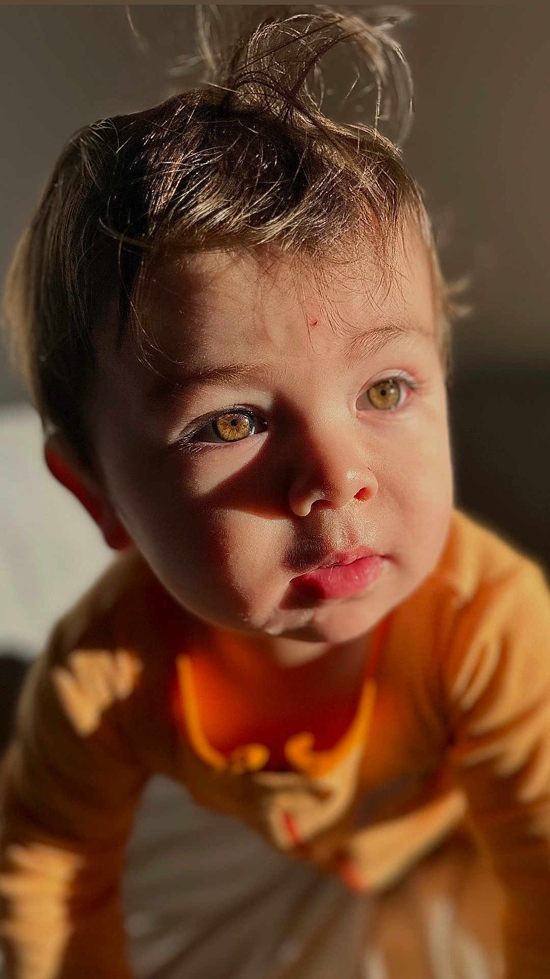 Frank is registered to the contest to win money with this photo: toddler, child, portrait, close_up, face, eyes, hair, orange_clothing, expression, innocence, sunlight, soft_light, indoors, curious, cute, young_child, skin, person, baby, head